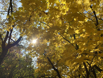 Similar image 21140471