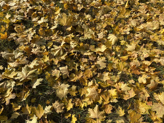 Similar image 21140475