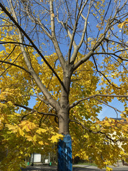 Similar image 21140477