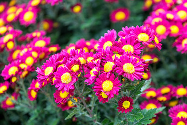 Similar image 21133666