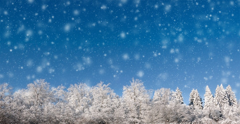 Similar image 21134478