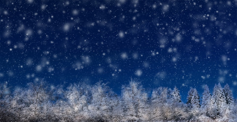 Similar image 21157559