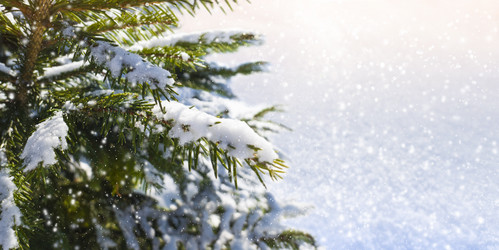 Similar image 21133464