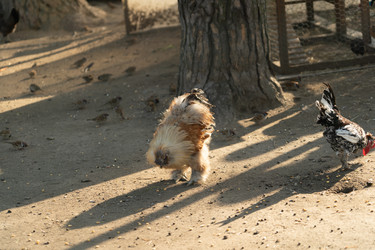 Similar image 21133667