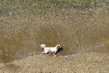 Similar image 21142869