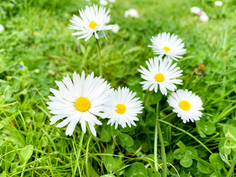 Similar image 21136314