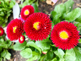 Similar image 21136315