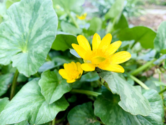 Similar image 21136317