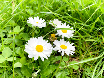 Similar image 21136318