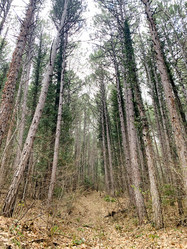 Similar image 21136319