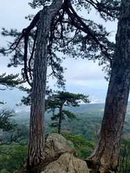 Similar image 21136322