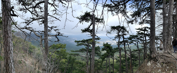 Similar image 21136324