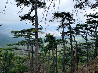 Similar image 21136325