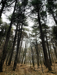 Similar image 21136329