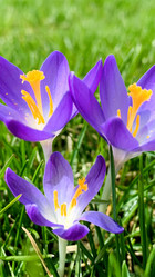 Similar image 21136336