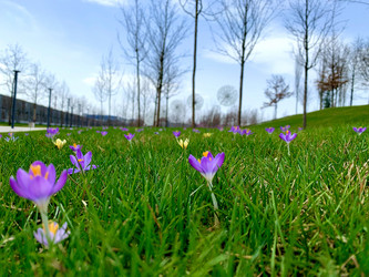 Similar image 21136337