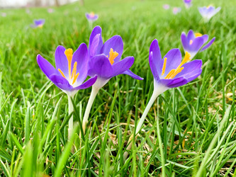 Similar image 21136338