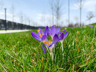 Similar image 21136340