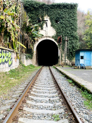 Similar image 21136344