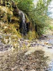 Similar image 21136347