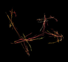 Similar image 21137169