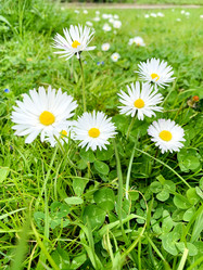 Similar image 21136352