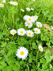 Similar image 21136353