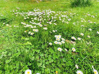 Similar image 21136354