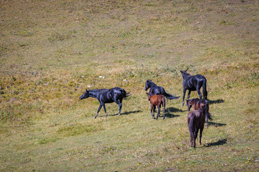 Similar image 21134485