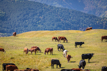 Similar image 21134486