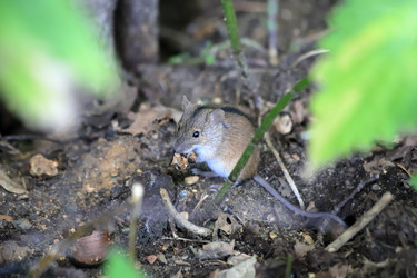 Similar image 21139103