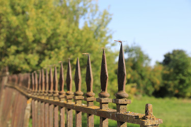 Similar image 21139106