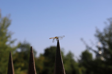 Similar image 21139107