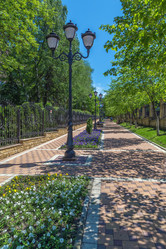 Similar image 21201330