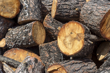 Similar image 21135763