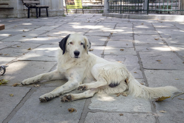 Similar image 21167167