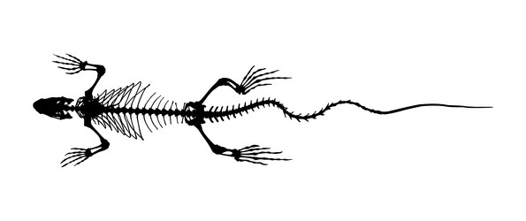 Similar image 21135778