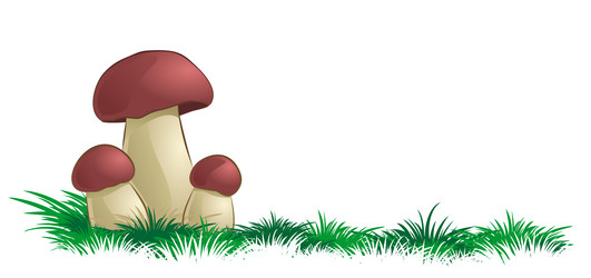 Similar image 21135790