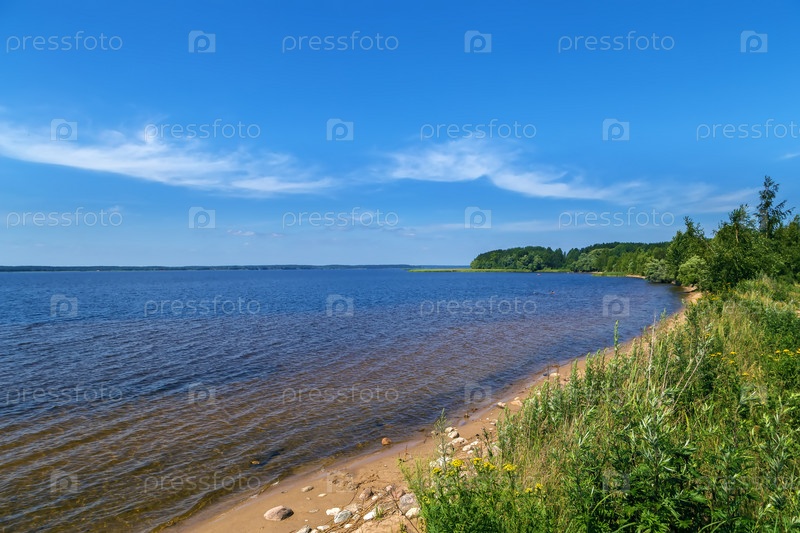 Фотография на тему Озеро Селигер, Россия | PressFoto