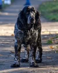 Similar image 21135802