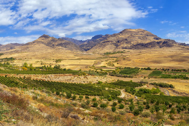 Similar image 21150535