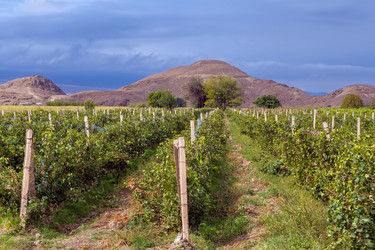 Similar image 21150071