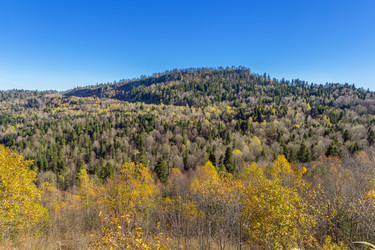 Similar image 21150077