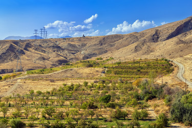 Similar image 21150576