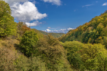 Similar image 21150579