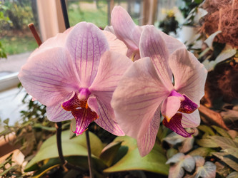 Similar image 21134506