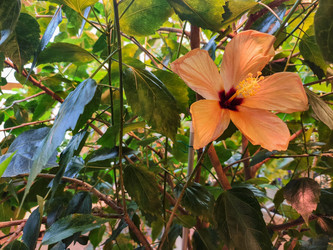 Similar image 21150233