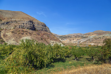 Similar image 21150592