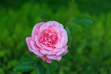 Similar image 21150631