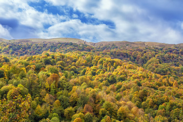 Similar image 21149568